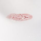 一城一味｜旧金山｜Rich Table