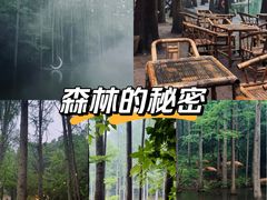 -波尔登森林公园