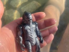 -龙佳生态温泉山庄