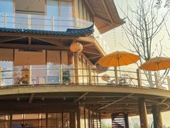 -长田漾湿地公园