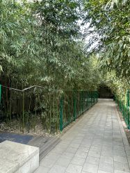 -北京英煌医疗美容