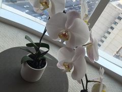 -北京康莱德酒店
