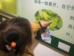 -上海昆虫博物馆