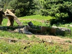 -北京野生动物园