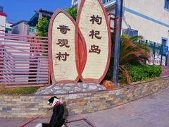 -枸杞岛