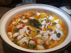 招牌青花椒-青花椒花椒鱼(新百店)
