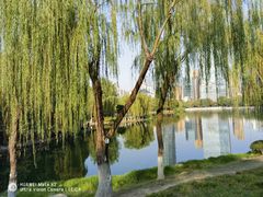 -后襄河公园