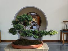 -腾冲和顺柏联酒店