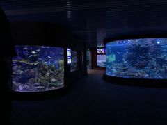 -左海海底世界