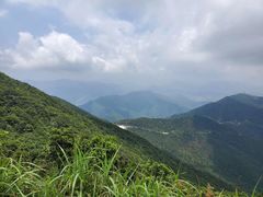 -梧桐山风景名胜区
