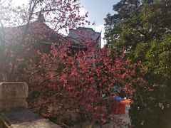 -乌山风景区