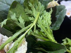 -果松木炭酸菜铜火锅·外婆参鸡汤