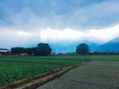 -洱海月湿地公园