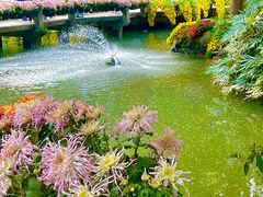 -杭州植物园