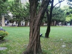 -上海安亭别墅花园酒店