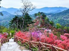 -岳西天峡风景区
