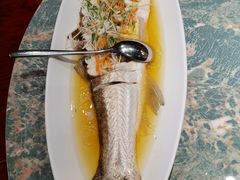 -金枝玉叶上海人家食府(三里河店)