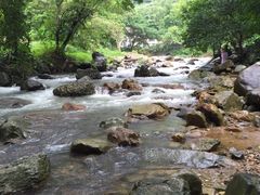 -广州市石门国家森林公园