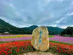 -广州市石门国家森林公园