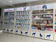 -创凡宠物医院·骨专科  猫科中心(西乡分院)