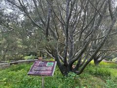 -北京十三陵国家森林公园蟒山景区