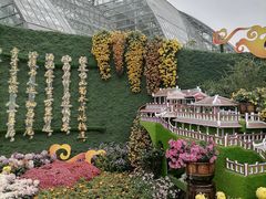 -南山植物园