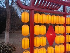 -青龙湖公园