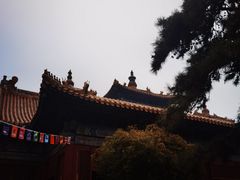-王府井天主教堂