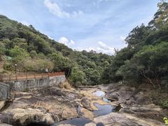 -广州白江湖森林公园