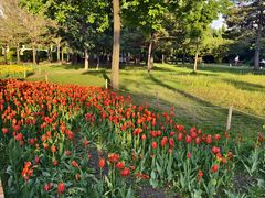 -长春公园(普阳街道)