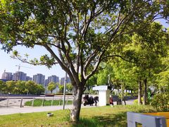 -映月湖中央公园