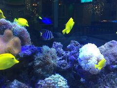 -乐享养生(东湖店)