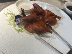 玻璃脆皮乳鸽-皓粤·臻品荟