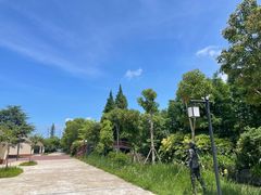 -上海长兴岛郊野公园