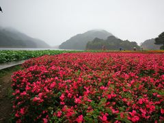-广州市石门国家森林公园