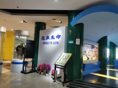 -上海昆虫博物馆