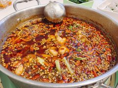 -蛙两只美蛙鱼头火锅(恒茂店)