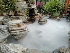 -品德宏·孔雀宴的发源地(金塔园店)
