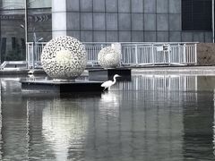 -青岛西海岸隆和福朋喜来登酒店