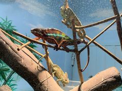 -石家庄市动物园