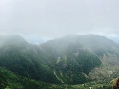 -霍顿平原国家公园