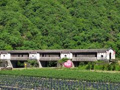 -塔川景区