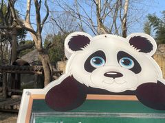 -上海野生动物园