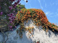 -乌山风景区