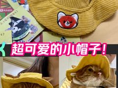 -瑞虹新天地月亮湾