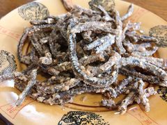 -乐山第一家临江鳝丝(茶坊路店)