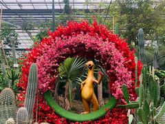 -呀路古热带植物园