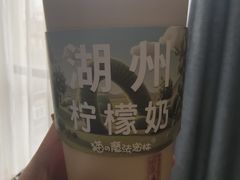 -猫的魔法密林(衣裳街店)