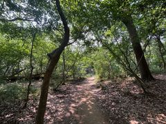 -紫金山山顶公园