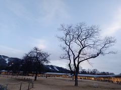 -轻井泽王子购物广场